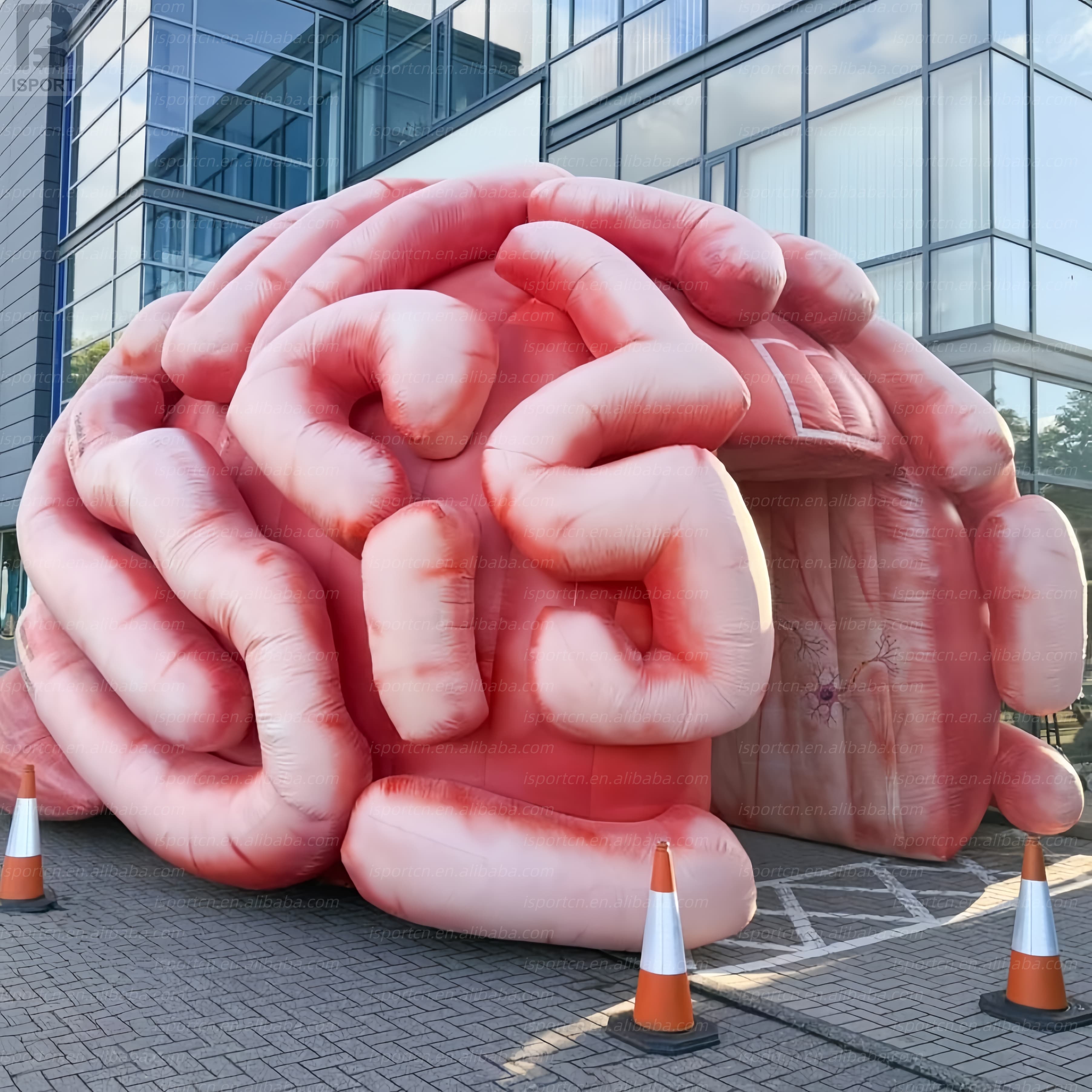 Giant Inflatable Brain Tunnel Walk-Through Educational Model