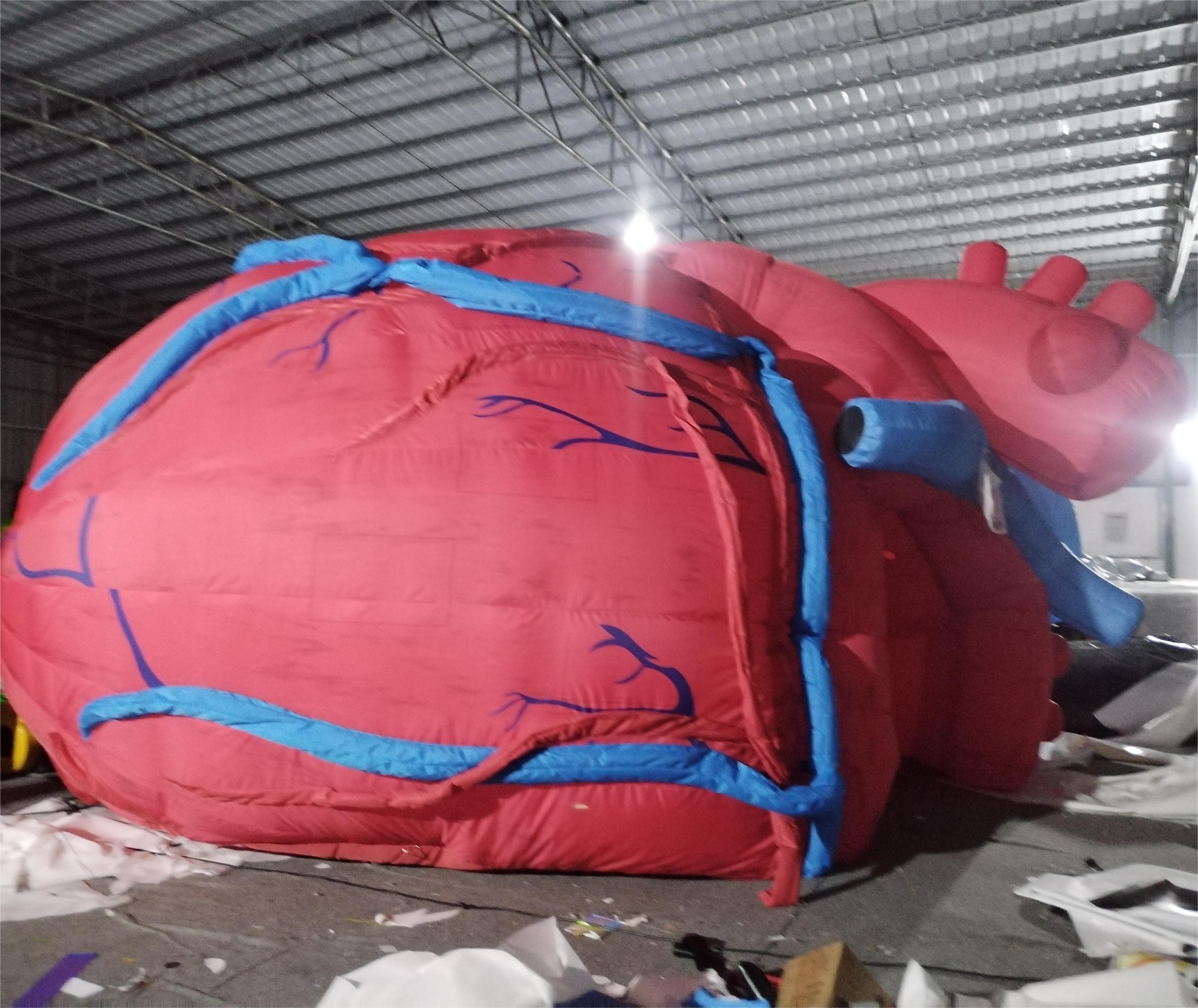 Giant Inflatable Human Heart Model for Medical Exhibitions